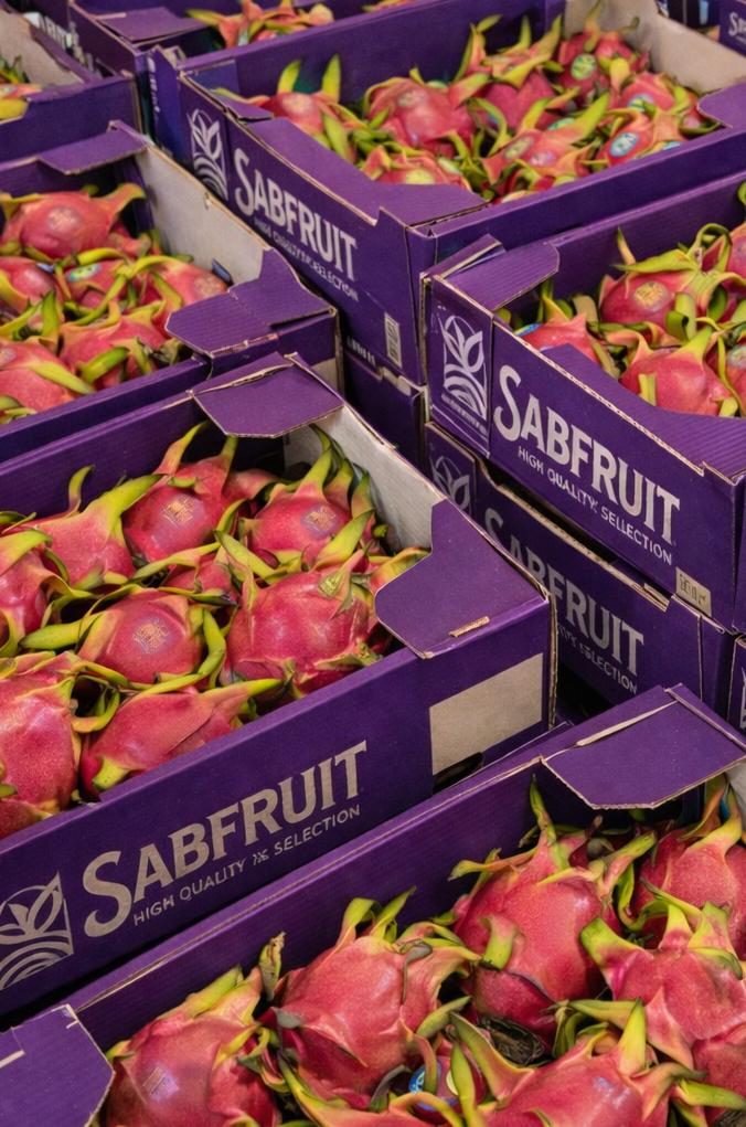 Sabfruit branded export boxes with dragon fruit