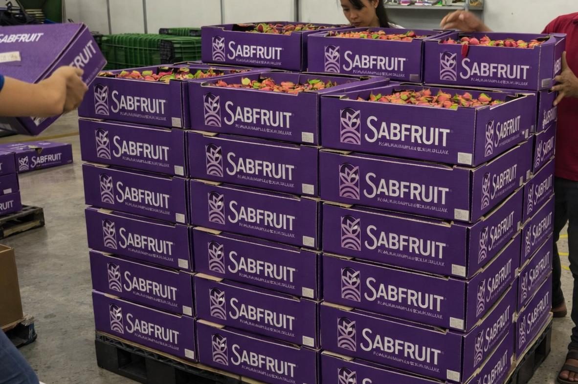 Palletized Sabfruit export boxes ready for shipment